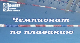Чемпионат по плаванию